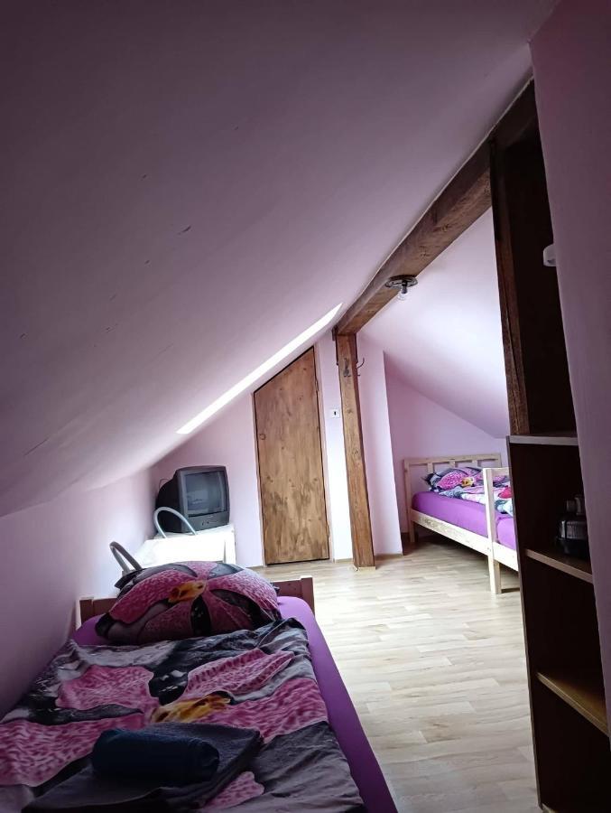 Penzion U Krbu Hotel Loket Exterior photo